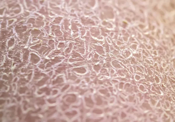  La Solución Ideal para Hidratación de Pieles Secas